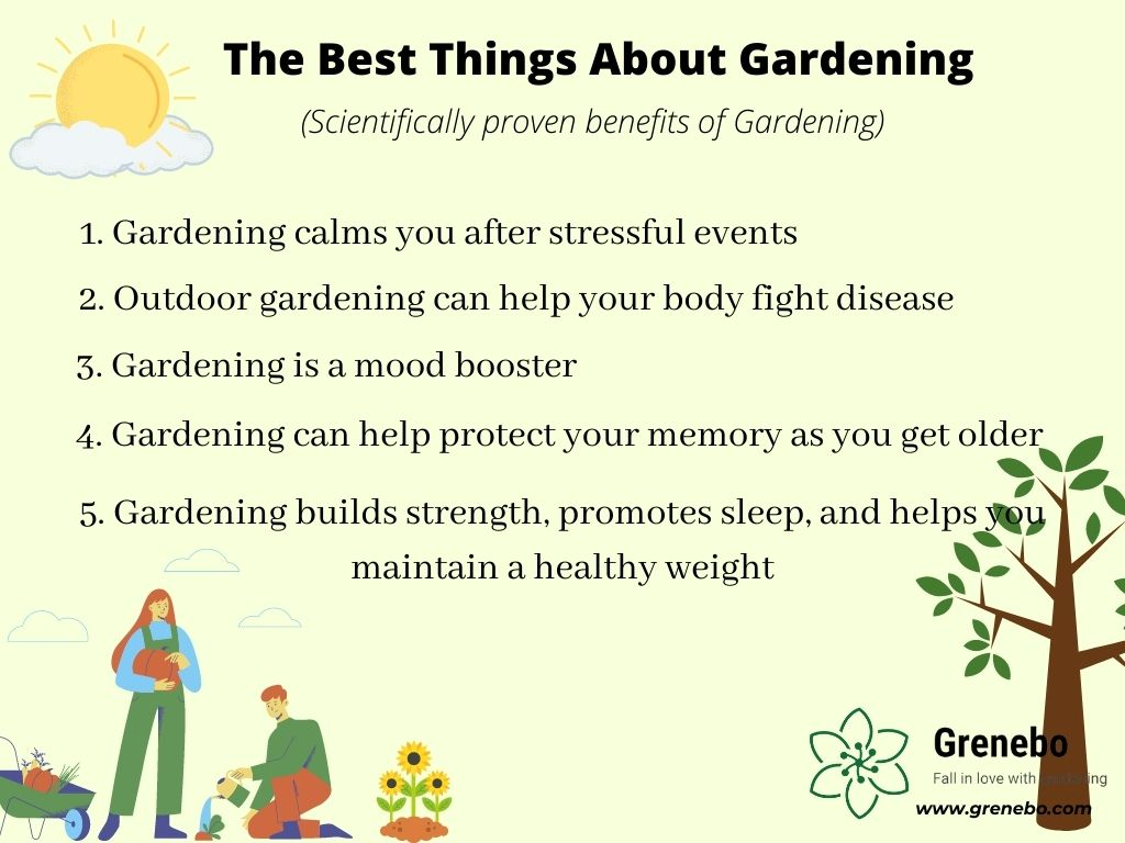 15 Best Gardening (Most Recommended) Gifts for Women