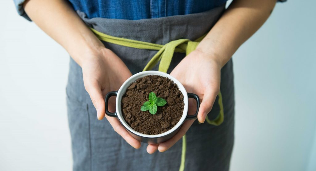 What is Potting Soil?