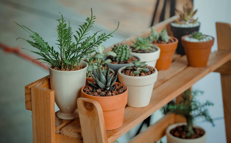 Does Potting Soil Go Bad? 10 Tips You Should Know