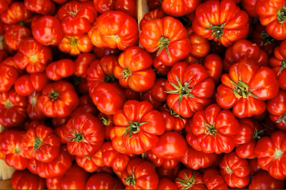 Brandywine Tomatoes Are Good for More Than Just Eating