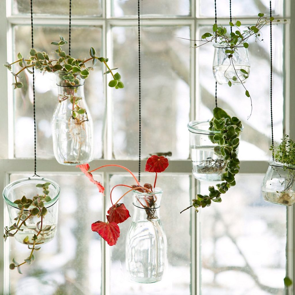 Hanging Jar Garden