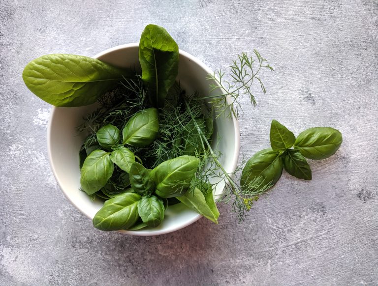 Why Are Basil Flowers Growing in Popularity? 9 Amazing Uses You Should Know