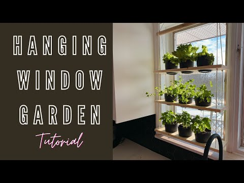 Making a window garden is incredibly easy and fun! Watch this video to see how: